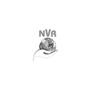 NVR Group